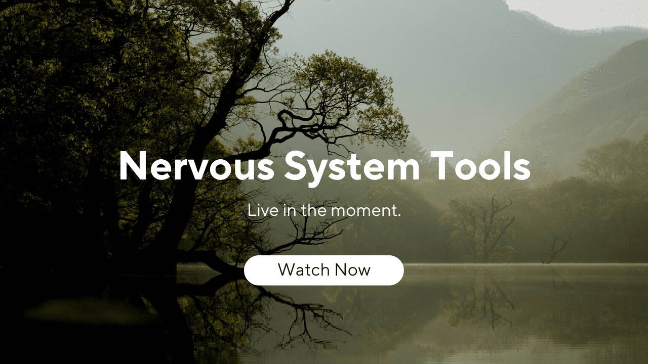 Nervous system tool, Somatic